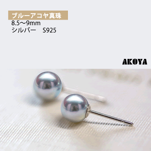 sAX u[O[ AR {^ 8.0mm fB[X p[ Vo[ s925  y w Ǝ tH[}   a v[gz 
