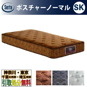 m_ސEEtkEʓ암 / 揈T[rXnT[^iSertaj|X`[m[} SKTCY Z~LO 180cm |PbgRC}bgX 3][ݔz xbh}bgX 