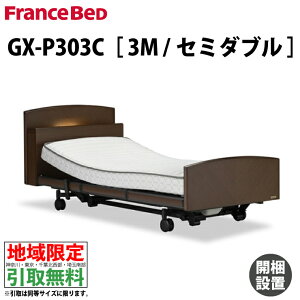［地域限定 無料引取サービス］［セット販売］ GX-P303C 3M セミダブル フランスベッド グランマックスプレミアム GRANMAX PREMIUM 3モーター 電動ベッド 電動リクライニングベッド 介護ベッド LED