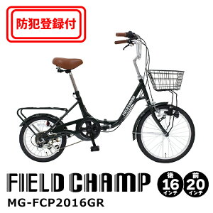 y hƓo^t / OK z6iϑ܂肽ݎ] MG-FCP2016GR V}m6iϑ 20×16C`܏݃t[ JS ܏􎩓] ʋ ʊw X ALA LEDCg a ~jx FIELD 
