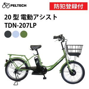 y hƓo^t / OK / 100%[i zPELTECH yebN TDN-207LP dAVXg] 8Ah 12Ah O20C` 3iϑ 20^3iϑ TS}[N d] ] ` TCNO 