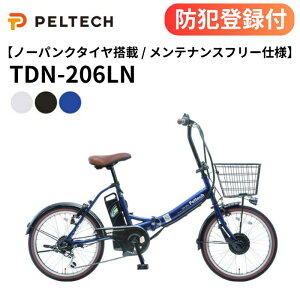 �y �h�Ɠo�^�t�� / �����OK �z�m�[�p���N20�^�d���A�V�X�g���]�� TDN-206LN 8Ah 12Ah �p���N���X �O��6�i�ϑ� TS�}�[�N 20�C���`�d�����]�� ���]�� �`���� �T�C�N�����O ���o���� �V���� �ЂƂ���