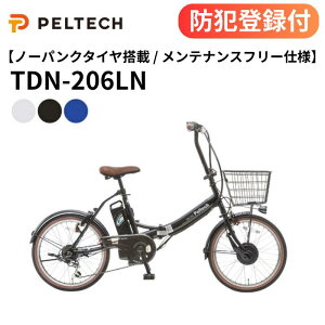 �y �h�Ɠo�^�t�� / �����OK �z�m�[�p���N20�^�d���A�V�X�g���]�� TDN-206LN 8Ah 12Ah �p���N���X �O��6�i�ϑ� TS�}�[�N 20�C���`�d�����]�� ���]�� �`���� �T�C�N�����O ���o���� �V���� �ЂƂ���