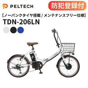 �y �h�Ɠo�^�t�� / �����OK �z�m�[�p���N20�^�d���A�V�X�g���]�� TDN-206LN 8Ah 12Ah �p���N���X �O��6�i�ϑ� TS�}�[�N 20�C���`�d�����]�� ���]�� �`���� �T�C�N�����O ���o���� �V���� �ЂƂ���