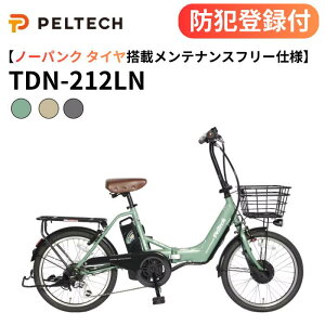 �y �h�Ɠo�^�t�� / �����OK �z�m�[�p���N�܂��ݓd���A�V�X�g���]�� TDN-212LN 12Ah 8Ah �O��6�i�ϑ� LED���C�g TS�}�[�N �܂肽���ݓd�� 20�C���`�d�����]�� �d�����]�� �p���N���X ��C����s�v 