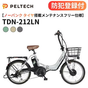 �y �h�Ɠo�^�t�� / �����OK �z�m�[�p���N�܂��ݓd���A�V�X�g���]�� TDN-212LN 12Ah 8Ah �O��6�i�ϑ� LED���C�g TS�}�[�N �܂肽���ݓd�� 20�C���`�d�����]�� �d�����]�� �p���N���X ��C����s�v 