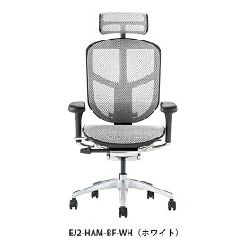 【神奈川・東京・千葉北西部・埼玉南部 無料引取サービス有】エルゴヒューマン プロ2 ハイタイプ ブラックフレーム（5カラー展開）EHP2-HAM-BF Ergohuman PRO2 オフィスチェア チェア 椅子 いす イス オフィスチェア 肘 キャスター付き リクライニング