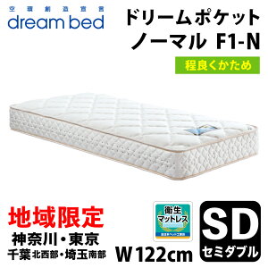 yДznzm_ސEEtkEʓ암 / E揈n h[xbh h[|Pbg m[} F1-N DX Z~_u(SD) DREAMBED DREAM POCKET NORMAL F1-N DX A