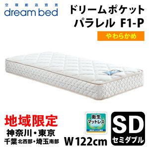 yДznzm_ސEEtkEʓ암 / E揈n h[xbh h[|Pbg p F1-P DX Z~_u(SD) DREAMBED DREAM POCKET PARALLEL F1-P DX A