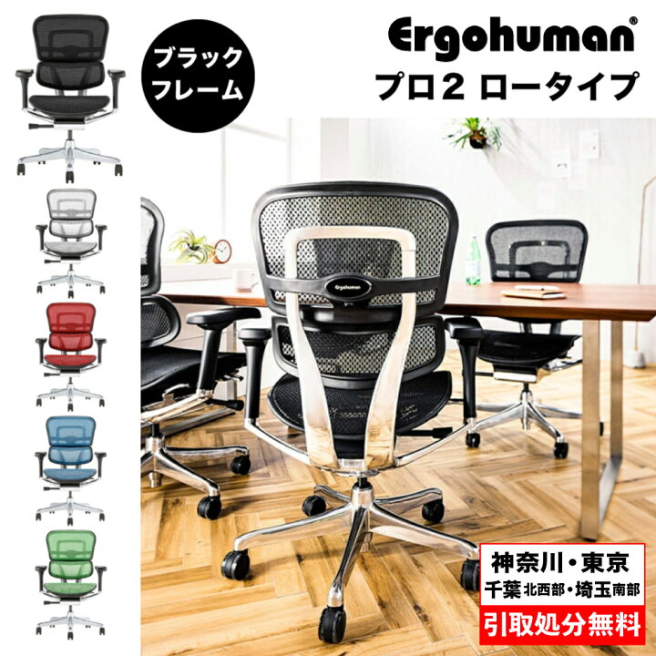 楽天市場】【買い替え 無料引取サービス有】エルゴヒューマン プロ2  