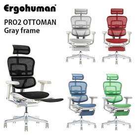 【神奈川・東京・千葉北西部・埼玉南部 無料引取サービス有】エルゴヒューマン プロ2 オットマン グレーフレーム（5カラー展開）EHP2-LPL-GF Ergohuman PRO2 OTTOMAN オフィスチェア チェア 椅子 いす イス オフィスチェア 肘 キャスター付き リクライニング
