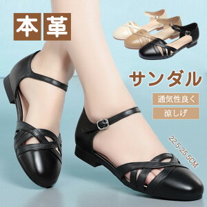 XgbvT_ fB[X {v U[ ANXgbv ƕt [q[ ₷ y JWA ꂢ  TCY 傫TCY r Ȃ wlC t