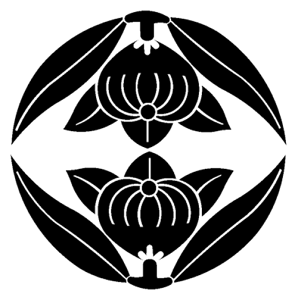 ƖXebJ[ 155 ㉺k 20cmTCY