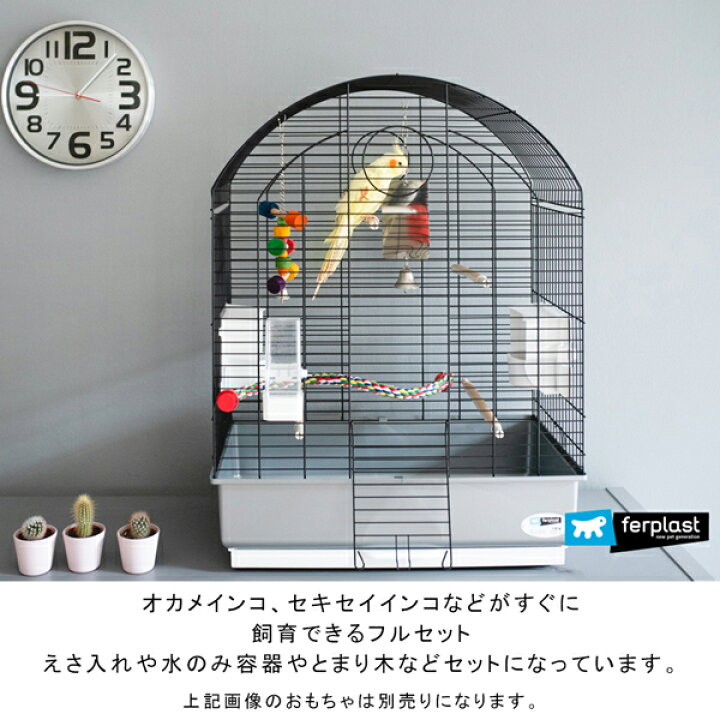 おしゃれな鳥かご 大型鳥用縦長型ケージ Viola おしゃれ イタリアferplast社製 オカメインコ ケージ セキセイインコ ビオラ フルセット 鳥かご 鳥籠 Sale 55 Off 鳥かご