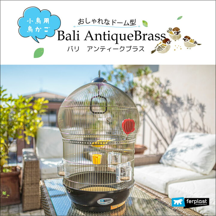 楽天市場】鳥かご バリ アンティークブラス Bali AntiqueBrass 鳥籠 