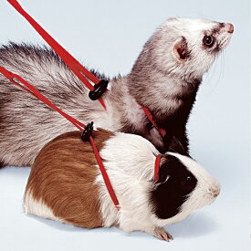 NY ROD HARNESS フェレット モルモット用 ハーネス リード セット さんぽグッズ 散歩用品 お出かけ お散歩グッズ 小動物用 レッド イタリアferplast社製