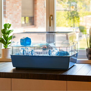 nX^[ }EX P[W fit@ [W Duna Fun Large nEX lY~ tZbg p ybgpi C^AferplastА