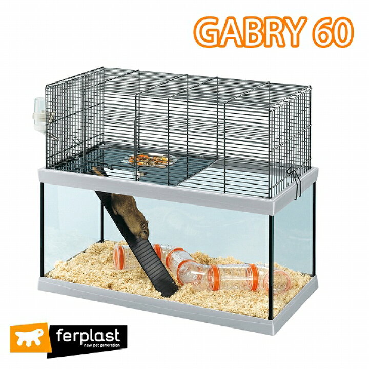 楽天市場】ファープラスト ガブリー GABRY 60 ハムスター スナネズミ 2 