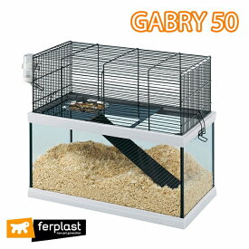 ファープラスト ガブリー GABRY 50 ハムスター スナネズミ 2階建 ケージ ハウス マウス フルセット 小動物用 ペット用品