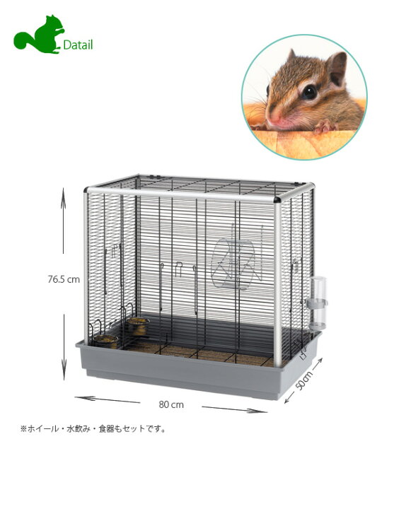 楽天市場】リス用 ケージ スコイアットリー KD Scoiattoli KD フル 
