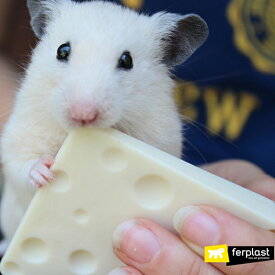 コーンスターチベースのチューイングトイ グッドバイト 小動物用 チーズ 1個入り ハムスター おもちゃ イタリアferplast社製