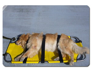 ybgp S Aj} Xgb`[ ^J   L ybg ω׏d70kg܂