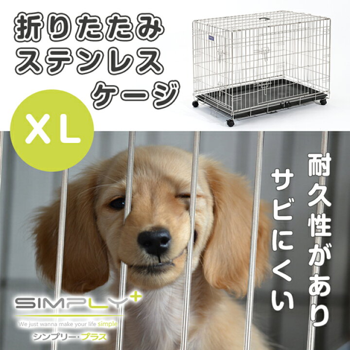 楽天市場】☆ SIMPLY シンプリー メゾン ステンレス ゲージ サークル 