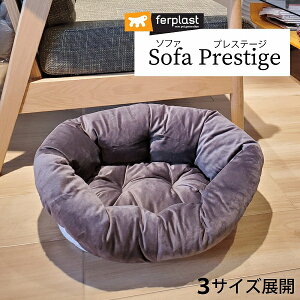 pvX`bNxbh VGX^DXp \t@ vXe[W 3TCYWJ NbVxbgJo[ C^AferplastА