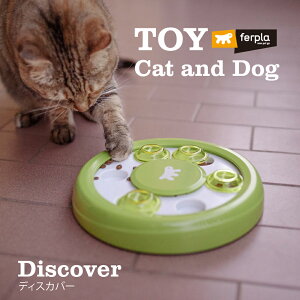 DISCOVER fBXJo[ mgC  L  C^AferplastА