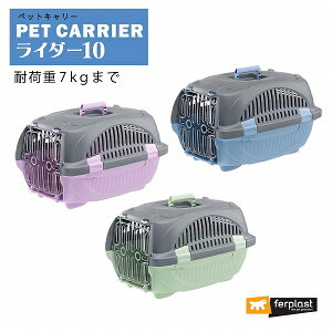 C_[ 10 L[  L  ybgp ʉ@ Oo ł s C^AferplastА