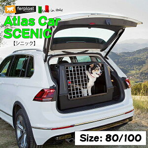 AgXJ[ VjbN 2TCY Atlas CAR SCENIC N[g  Q[W hCu P[W C^AferplastА