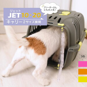 g JET 10E20 WFbg L[ 2TCYWJ  L  ybgp ʉ@ Oo ł s@C^AferplastА