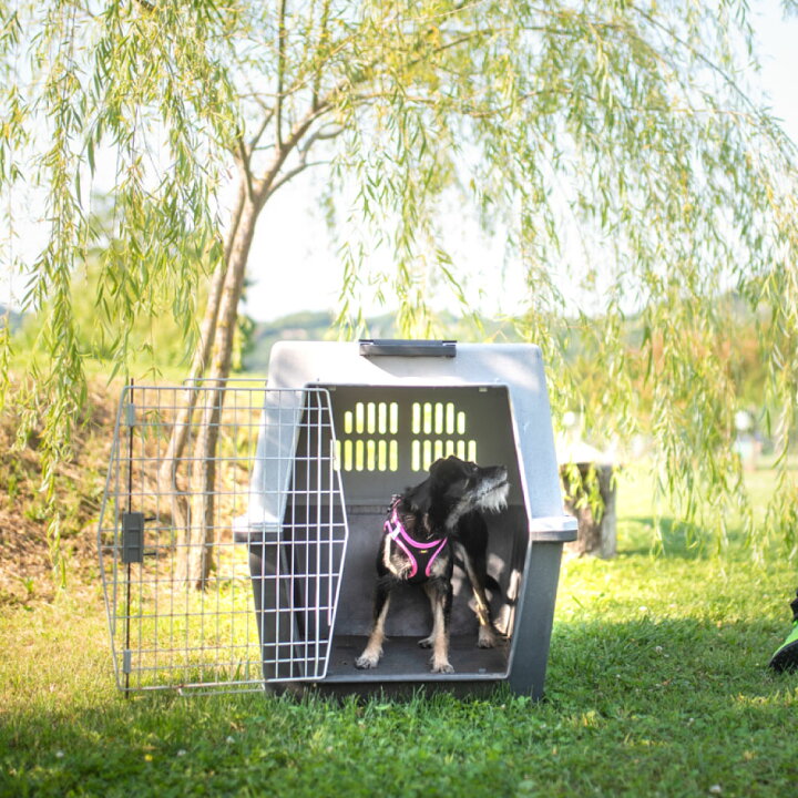 楽天市場】ペットキャリー 大型犬用 アトラス プロフェッショナル 