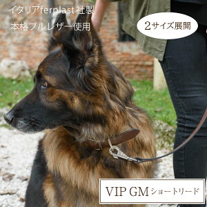 VIP GM ショートリード 2サイズ 本格ブルレザー使用革犬具 イタリア ferplast社製
