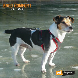 犬 ハーネス エルゴ コンフォート 5サイズ 3カラー ERGO COMFORT ベスト型ハーネス 犬用 散歩 胴輪 さんぽ イタリアferplast社製