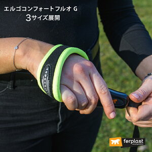  [h 肪ɂȂ GS RtH[g tI G 3TCY 2J[ lIJ[ ERGO C^AferplastА