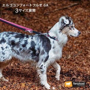  | 2 [h GS RtH[g tI GA  @\ lIJ[ ERGO C^AferplastА