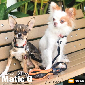  [h 肪ɂȂ [h GS RtH[g tI }eBbN G 3TCY 2J[ lIJ[ ERGO C^AferplastА