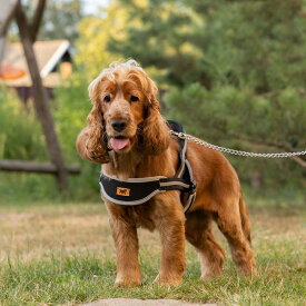 犬 介護用 ハーネス 3サイズ エルゴ コンフォート ノルディック ERGO COMFORT NORDIC 犬用 ケガ 老犬 補助 イタリアferplast社製