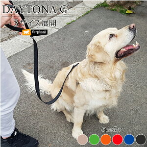  [h fCgi G 3TCY 6J[ DAYTONA  [h IV C^AferplastА