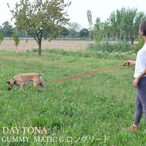  O[h G20/500 fCgi K~[ }eBbN DAYTONA GUMMY MATIC  C^AferplastА [ Lk [h ۃObY Upi o UObY