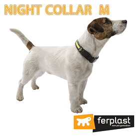 ナイトカラー M NIGHT MEDIUM 犬 くびわ 首輪 首回36から51cm 光る　夜 散歩 点灯 蛍光 イタリアferplast社製