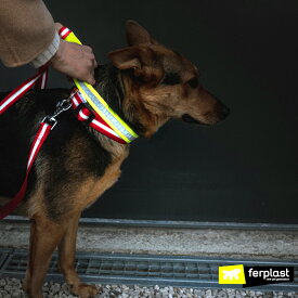 リフレックス REFLEX C 4サイズ展開 犬 反射 首輪 夜 散歩 イタリアferplast社製