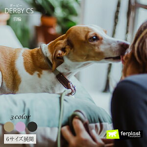 _[r[ DERBY `[N J?  CS 6TCY 2J[   ۃObY Upi o UObY IV C^AferplastА