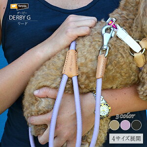 _[r[ DERBY [h G 4TCY 3J[  [ [h ۃObY Upi o UObY IV C^AferplastА