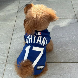 12͂!? JI 񓁗Ly[I MLB hW[X JĕI胂f W[W TVc o_i