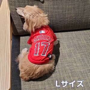 y݌Ɍz@JĕI胂f@TVc@LTCY LOS ANGELES ANGELS@T[X@G[X@jtH[@싅@@^@yLINEo^Ńv[gz