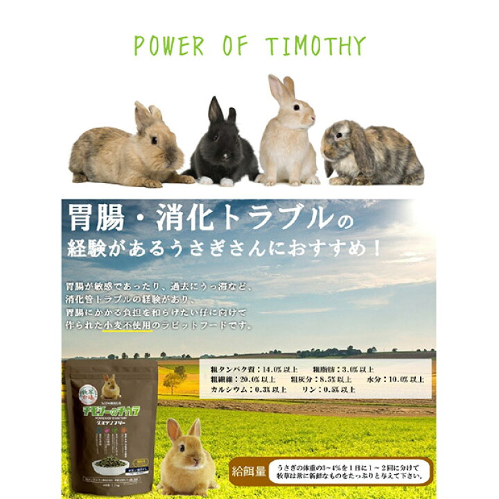 楽天市場 国産 牧草市場 チモシーのチカラ グルテンフリー 1kg うさぎ フード オールステージ 毛玉ケア 尿臭 消化吸収 Fantasy World