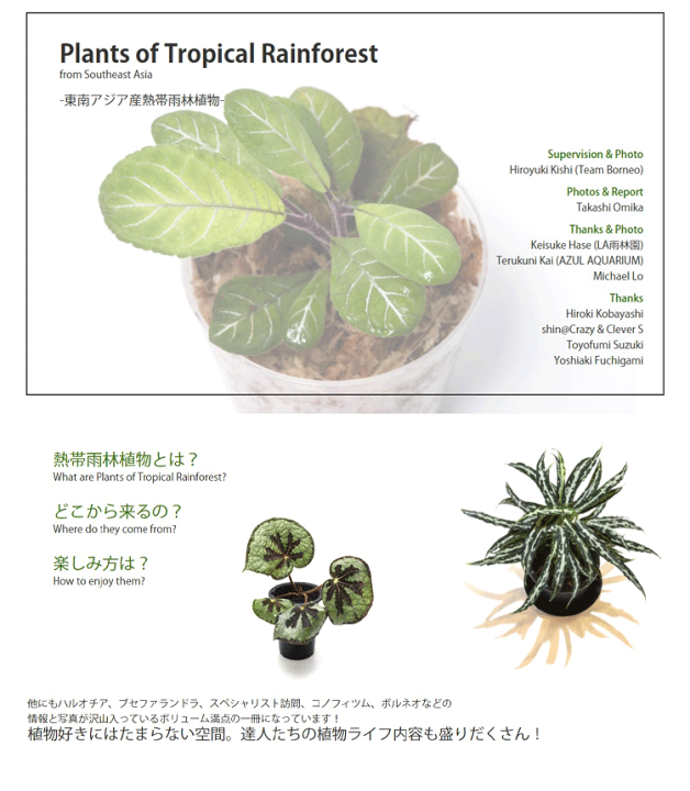 見逃し厳禁！おトクな 楽天市場】World ワールドプランツ Japan ex Report Plants その他