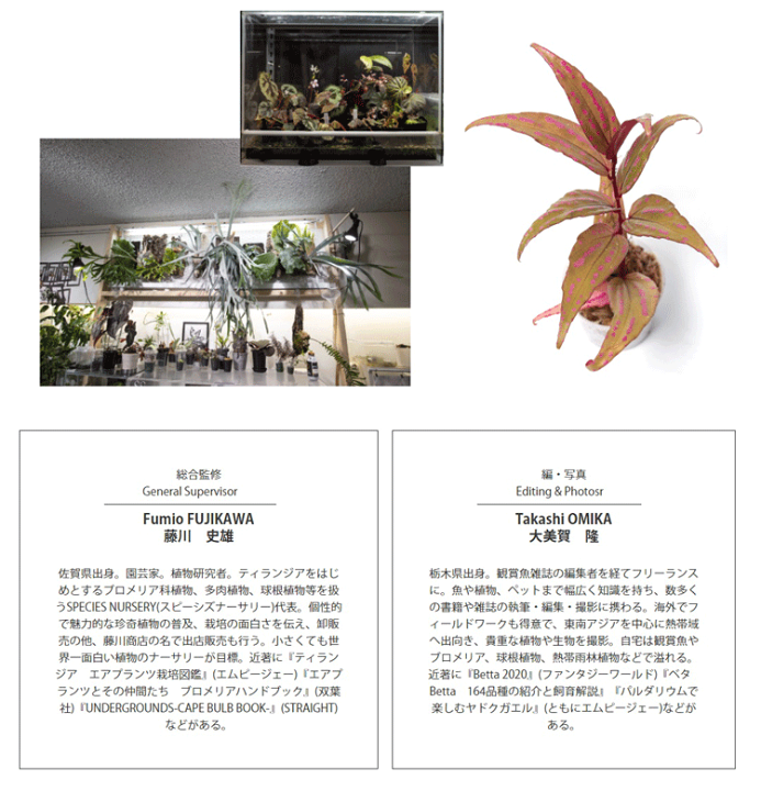 楽天市場】World Plants Report ex Japan ワールドプランツ